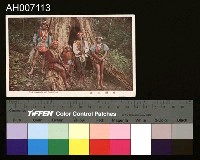 藏品(日治時期原住民風俗文化明信片)的圖片